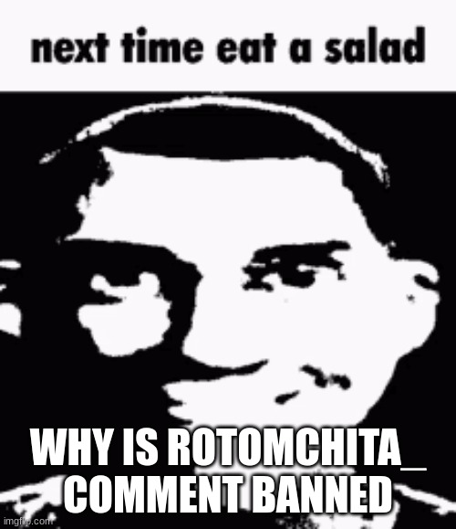 Next time eat a salad | WHY IS ROTOMCHITA_ COMMENT BANNED | image tagged in next time eat a salad | made w/ Imgflip meme maker