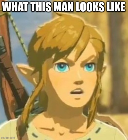 Offended Link | WHAT THIS MAN LOOKS LIKE | image tagged in offended link | made w/ Imgflip meme maker