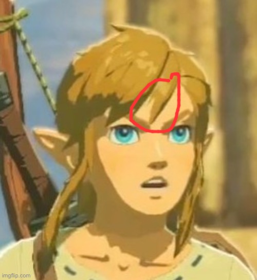 Offended Link | image tagged in offended link | made w/ Imgflip meme maker