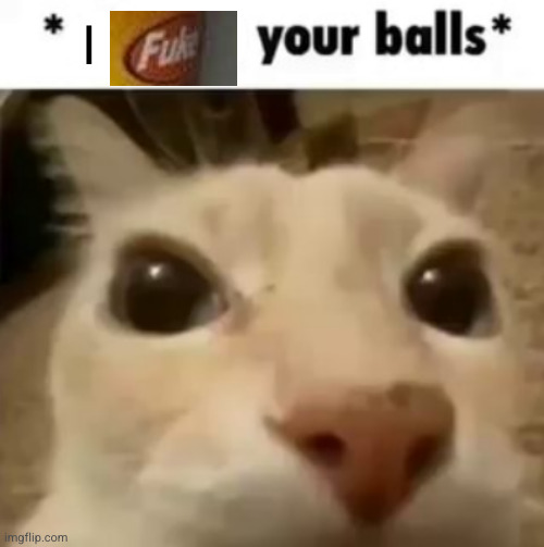 X your balls | I | image tagged in x your balls,fuke | made w/ Imgflip meme maker