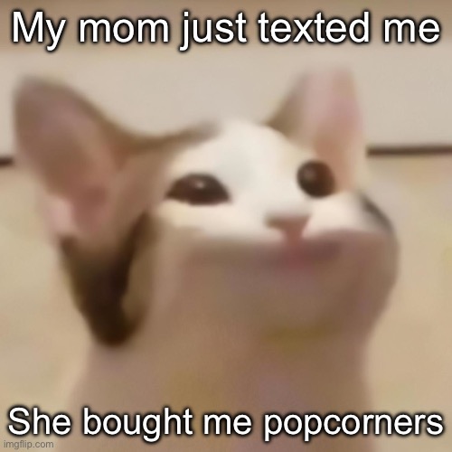 pop cat | My mom just texted me; She bought me popcorners | image tagged in pop cat | made w/ Imgflip meme maker