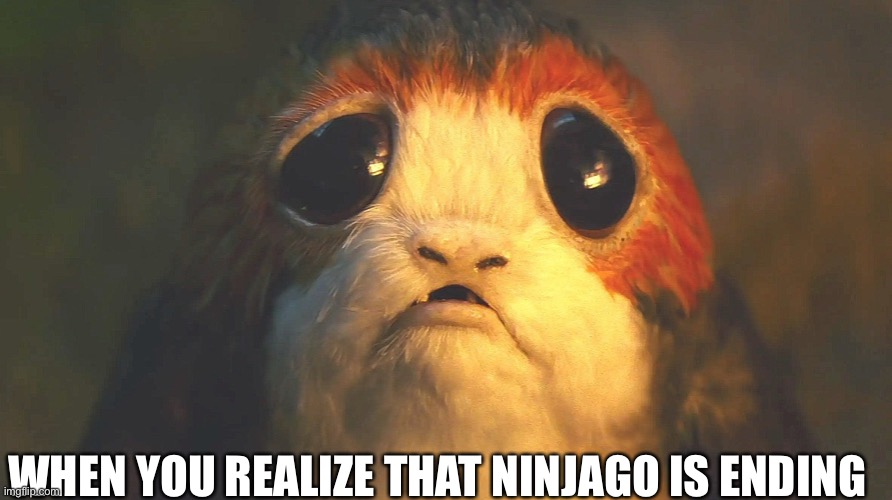 WHEN YOU REALIZE THAT NINJAGO IS ENDING | image tagged in ninjago | made w/ Imgflip meme maker