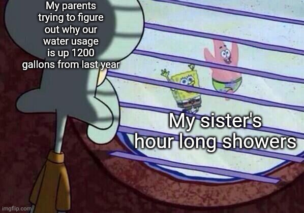 Squidward window | My parents trying to figure out why our water usage is up 1200 gallons from last year; My sister's hour long showers | image tagged in squidward window | made w/ Imgflip meme maker