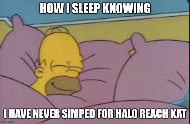 Don't google her. Trust me. | HOW I SLEEP KNOWING; I HAVE NEVER SIMPED FOR HALO REACH KAT | image tagged in how i sleep homer simpson | made w/ Imgflip meme maker