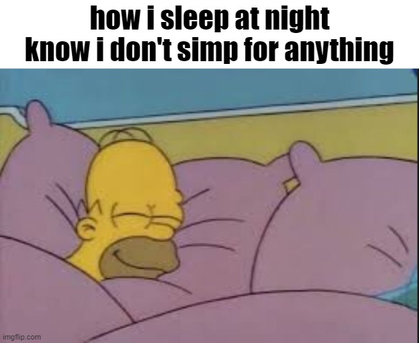 . | how i sleep at night know i don't simp for anything | image tagged in pie charts | made w/ Imgflip meme maker