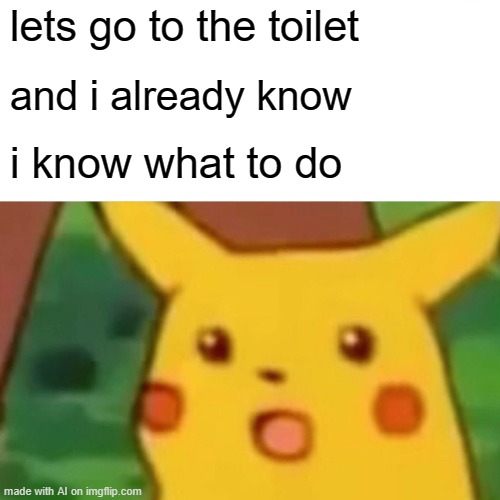 Surprised Pikachu Meme | lets go to the toilet; and i already know; i know what to do | image tagged in memes,surprised pikachu | made w/ Imgflip meme maker