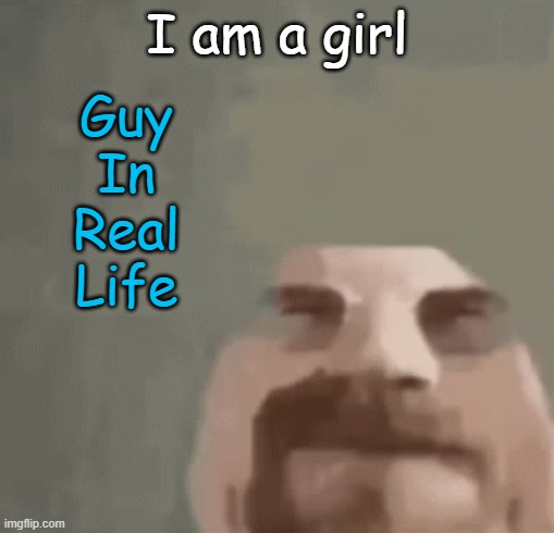 there's no such thing as women. | Guy
In
Real
Life; I am a girl | image tagged in heisenburger | made w/ Imgflip meme maker