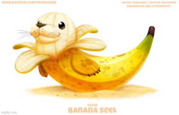 Banana seal | image tagged in blessed | made w/ Imgflip meme maker