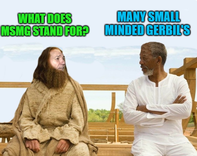 MANY SMALL MINDED GERBIL'S; WHAT DOES MSMG STAND FOR? | image tagged in lew and god | made w/ Imgflip meme maker