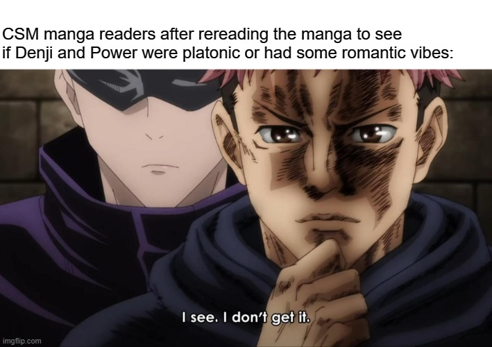 It's really confusing | CSM manga readers after rereading the manga to see if Denji and Power were platonic or had some romantic vibes: | image tagged in i see i don t get it,manga,anime,memes,Animemes | made w/ Imgflip meme maker