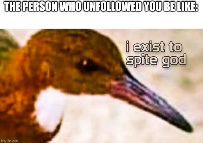 I exist to spite god | THE PERSON WHO UNFOLLOWED YOU BE LIKE: | image tagged in i exist to spite god | made w/ Imgflip meme maker