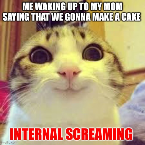 Sweets | ME WAKING UP TO MY MOM SAYING THAT WE GONNA MAKE A CAKE; INTERNAL SCREAMING | image tagged in potatos and catshi crazy | made w/ Imgflip meme maker