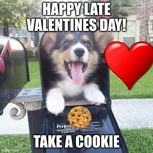 Doggo | HAPPY LATE VALENTINES DAY! TAKE A COOKIE | image tagged in cute doggo in mailbox | made w/ Imgflip meme maker