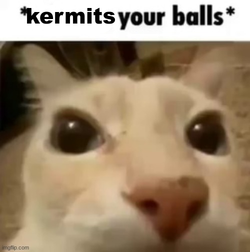 X your balls | kermits | image tagged in x your balls | made w/ Imgflip meme maker