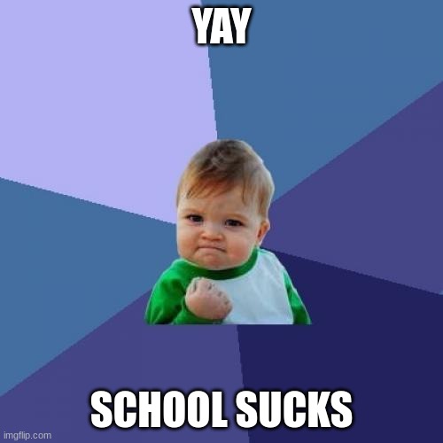 yes | YAY; SCHOOL SUCKS | image tagged in memes,success kid | made w/ Imgflip meme maker