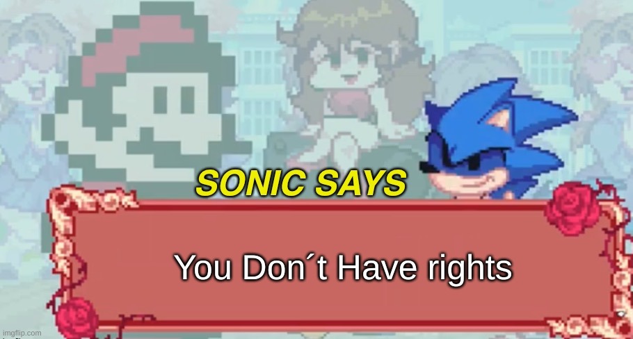 No Women can see this | You Don´t Have rights | image tagged in sonic says but friday night funkin | made w/ Imgflip meme maker