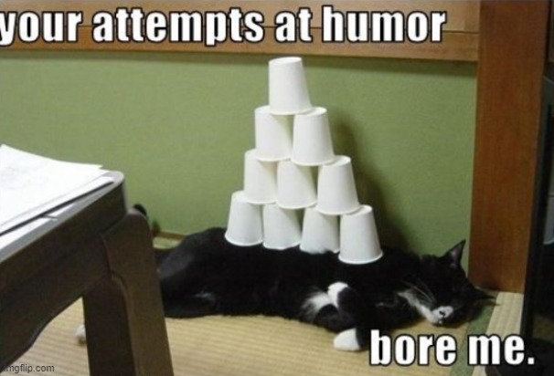 your attempts at humor, bore me. | image tagged in your attempts at humor bore me | made w/ Imgflip meme maker