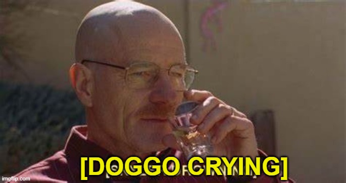 [Skyler Drowning] | [DOGGO CRYING] | image tagged in skyler drowning | made w/ Imgflip meme maker