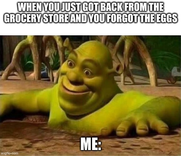 SHREK1 | WHEN YOU JUST GOT BACK FROM THE GROCERY STORE AND YOU FORGOT THE EGGS; ME: | image tagged in shrek | made w/ Imgflip meme maker