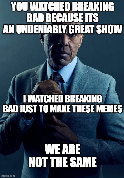 Why this meme | YOU WATCHED BREAKING BAD BECAUSE ITS AN UNDENIABLY GREAT SHOW; I WATCHED BREAKING BAD JUST TO MAKE THESE MEMES; WE ARE NOT THE SAME | image tagged in gus fring we are not the same | made w/ Imgflip meme maker