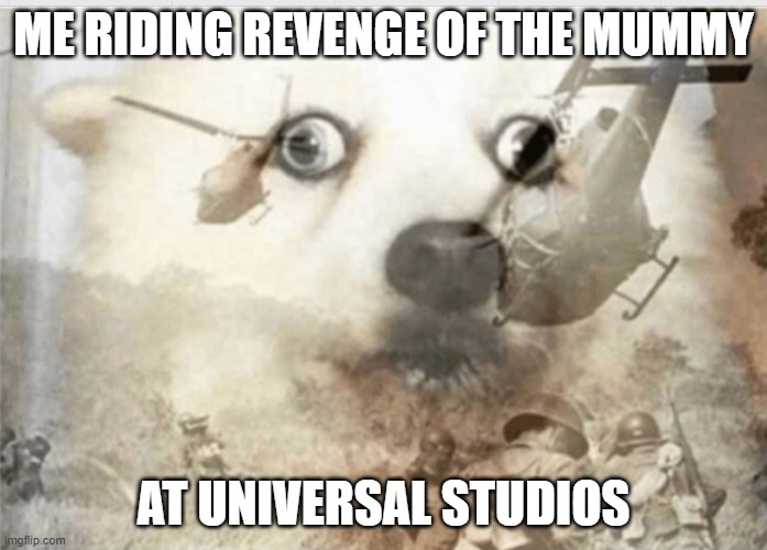 Damn the darkness is not scary but the how fast is it left me frozen | ME RIDING REVENGE OF THE MUMMY; AT UNIVERSAL STUDIOS | image tagged in ptsd dog,universal studios | made w/ Imgflip meme maker