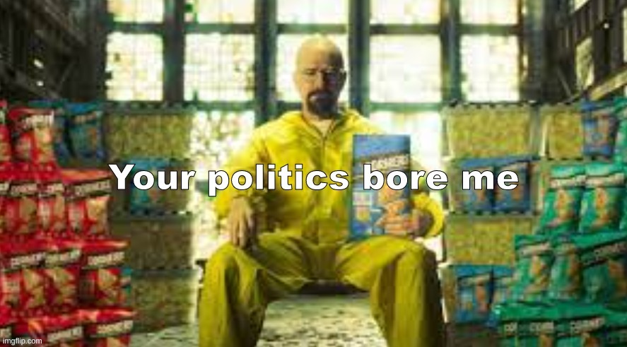 Your Politics Bore me (Walter Version) react the post below | made w/ Imgflip meme maker