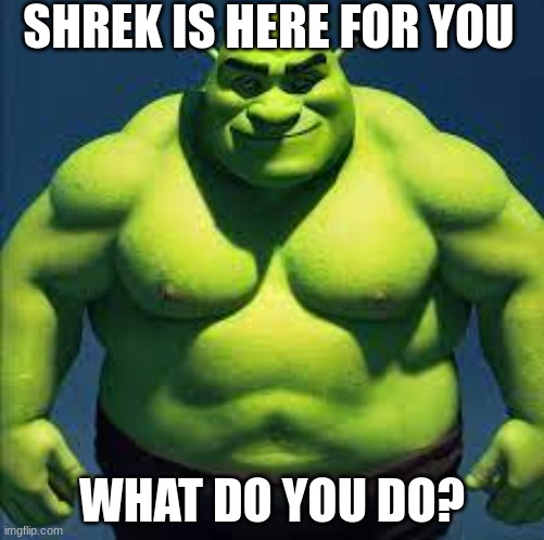 Shrek is here | SHREK IS HERE FOR YOU; WHAT DO YOU DO? | image tagged in shrek | made w/ Imgflip meme maker
