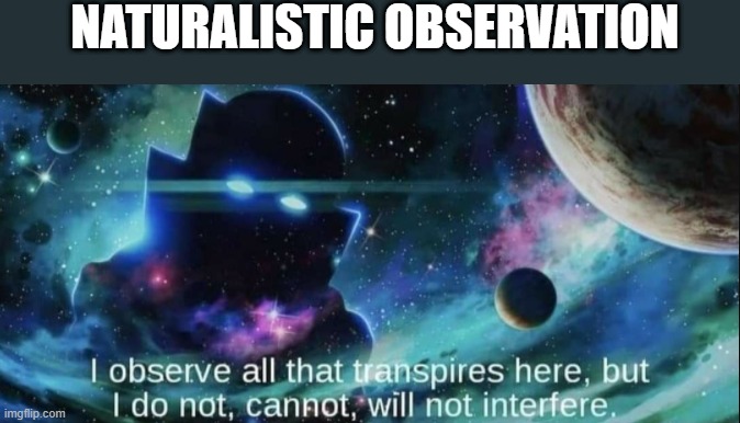 Naturalistic Observation | NATURALISTIC OBSERVATION | image tagged in the watcher | made w/ Imgflip meme maker