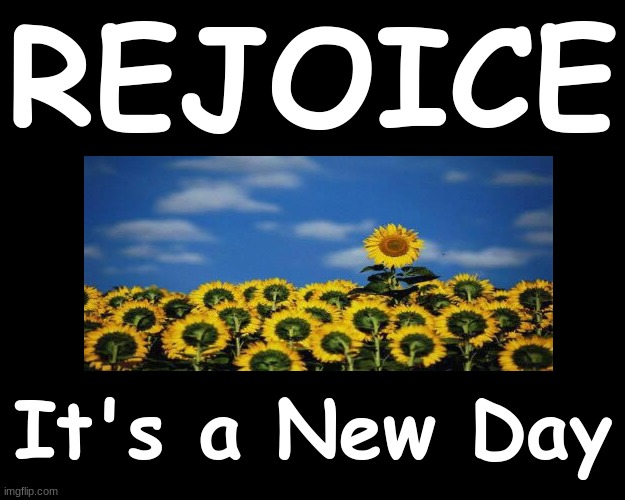 REJOICE....IT'S A NEW DAY | REJOICE; It's a New Day | image tagged in sunflower,new day | made w/ Imgflip meme maker
