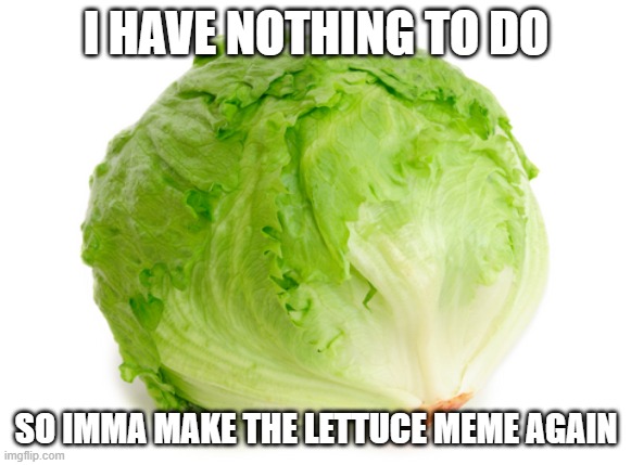 Again! | I HAVE NOTHING TO DO; SO IMMA MAKE THE LETTUCE MEME AGAIN | image tagged in lettuce | made w/ Imgflip meme maker