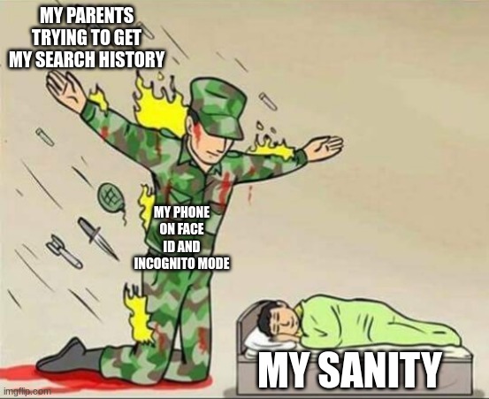 Soldier protecting sleeping child | MY PARENTS TRYING TO GET MY SEARCH HISTORY; MY PHONE ON FACE ID AND INCOGNITO MODE; MY SANITY | image tagged in soldier protecting sleeping child | made w/ Imgflip meme maker