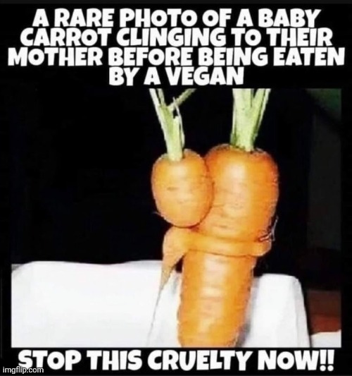 Oh, The Inhumanity | image tagged in stop the insanity | made w/ Imgflip meme maker