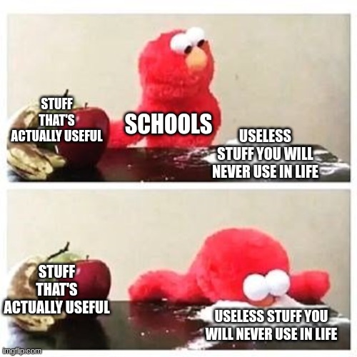 i do be like that sometimes | STUFF THAT'S ACTUALLY USEFUL; SCHOOLS; USELESS STUFF YOU WILL NEVER USE IN LIFE; STUFF THAT'S ACTUALLY USEFUL; USELESS STUFF YOU WILL NEVER USE IN LIFE | image tagged in elmo cocaine,elmo,school,useless stuff | made w/ Imgflip meme maker