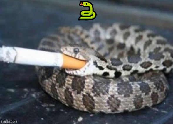 Smoking Snake | 🐍 | image tagged in smoking snake | made w/ Imgflip meme maker