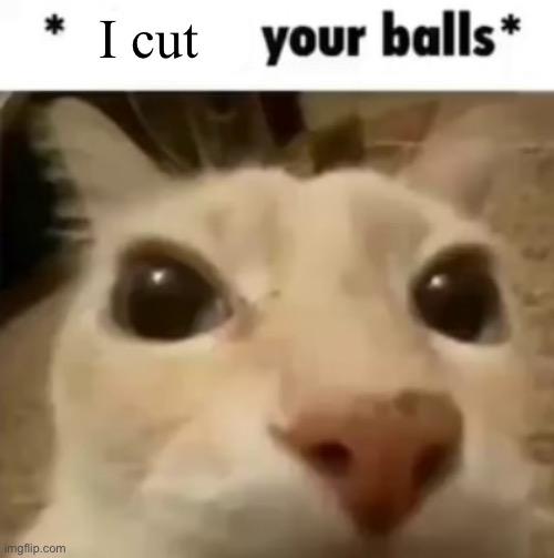 X your balls | I cut | image tagged in x your balls | made w/ Imgflip meme maker