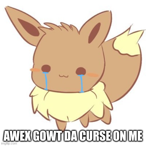 T-T | AWEX GOWT DA CURSE ON ME | image tagged in why not both | made w/ Imgflip meme maker