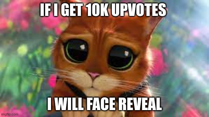 please give me upvotes | IF I GET 10K UPVOTES; I WILL FACE REVEAL | image tagged in puss in boots | made w/ Imgflip meme maker