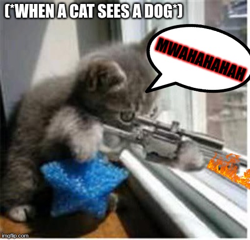 CATS GONNA MAKE DOGS EXTINCT | (*WHEN A CAT SEES A DOG*); MWAHAHAHAH | image tagged in cats with guns | made w/ Imgflip meme maker