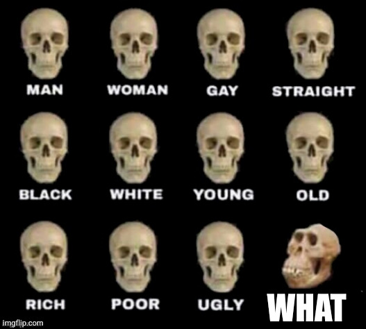 idiot skull | WHAT | image tagged in idiot skull | made w/ Imgflip meme maker