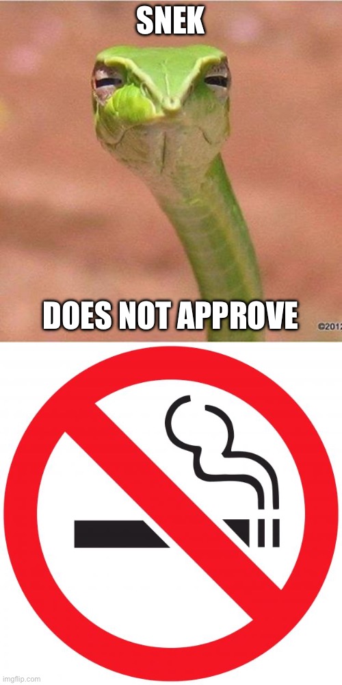 SNEK; DOES NOT APPROVE | image tagged in snek blank,no smoking | made w/ Imgflip meme maker