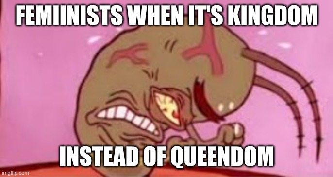 or if its not lion queen, moms last name is grandpa's last name, history instead of herstory. | FEMIINISTS WHEN IT'S KINGDOM; INSTEAD OF QUEENDOM | image tagged in visible frustration | made w/ Imgflip meme maker