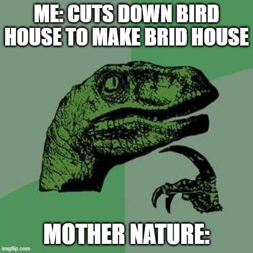 raptor asking questions | ME: CUTS DOWN BIRD HOUSE TO MAKE BRID HOUSE; MOTHER NATURE: | image tagged in raptor asking questions | made w/ Imgflip meme maker