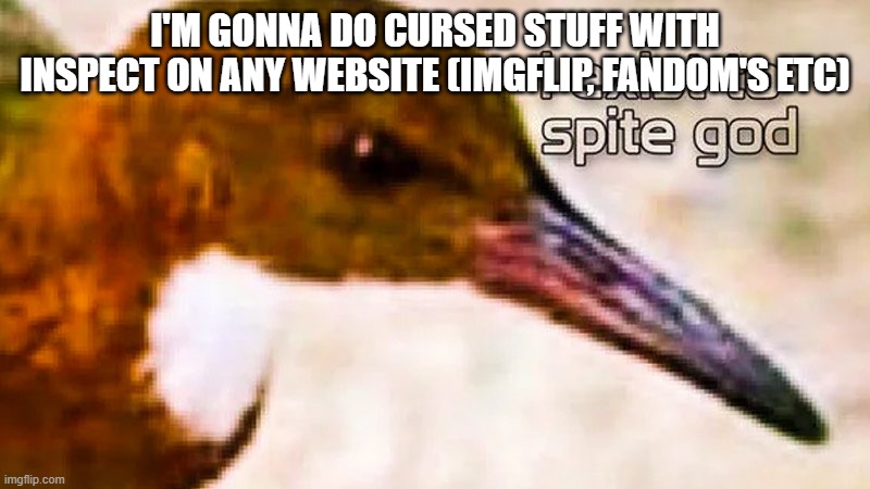 I exist to spite god | I'M GONNA DO CURSED STUFF WITH INSPECT ON ANY WEBSITE (IMGFLIP, FANDOM'S ETC) | image tagged in i exist to spite god | made w/ Imgflip meme maker