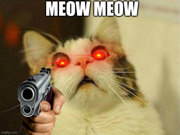meow | MEOW MEOW | image tagged in memes,scared cat | made w/ Imgflip meme maker