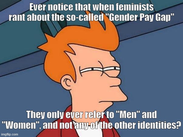 What about all the other genders, feminists? | Ever notice that when feminists rant about the so-called "Gender Pay Gap"; They only ever refer to "Men" and "Women", and not any of the other identities? | image tagged in skeptical fry,feminists,gender identity,woke,irony,leftists | made w/ Imgflip meme maker