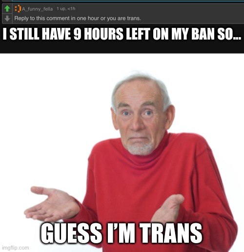 I STILL HAVE 9 HOURS LEFT ON MY BAN SO... GUESS I’M TRANS | image tagged in guess i'll die | made w/ Imgflip meme maker