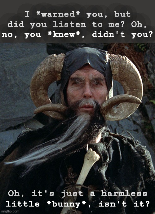 Tim enchanter Monty python | I *warned* you, but did you listen to me? Oh, no, you *knew*, didn't you? Oh, it's just a harmless little *bunny*, isn't it? | image tagged in tim enchanter monty python | made w/ Imgflip meme maker