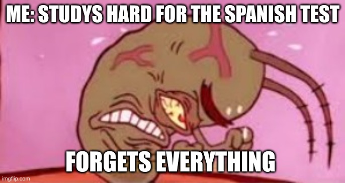 Visible Frustration | ME: STUDYS HARD FOR THE SPANISH TEST; FORGETS EVERYTHING | image tagged in visible frustration | made w/ Imgflip meme maker