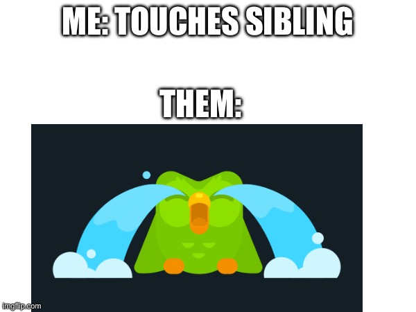 FR tho | ME: TOUCHES SIBLING; THEM: | image tagged in funny,facts | made w/ Imgflip meme maker