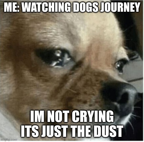 sad boi | ME: WATCHING DOGS JOURNEY; IM NOT CRYING ITS JUST THE DUST | image tagged in sad boi | made w/ Imgflip meme maker